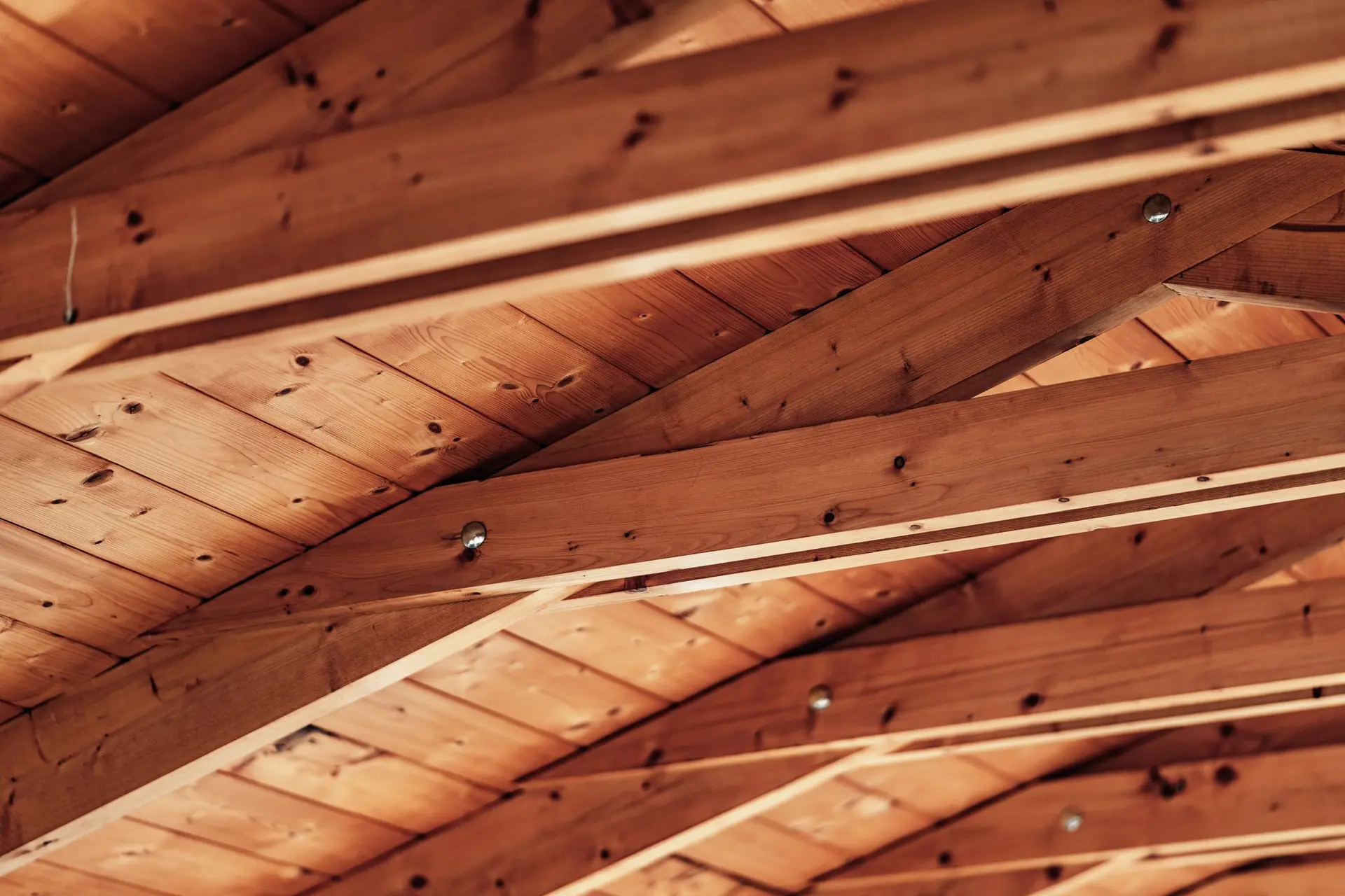 Exposed wood ceiling beams and roof decking